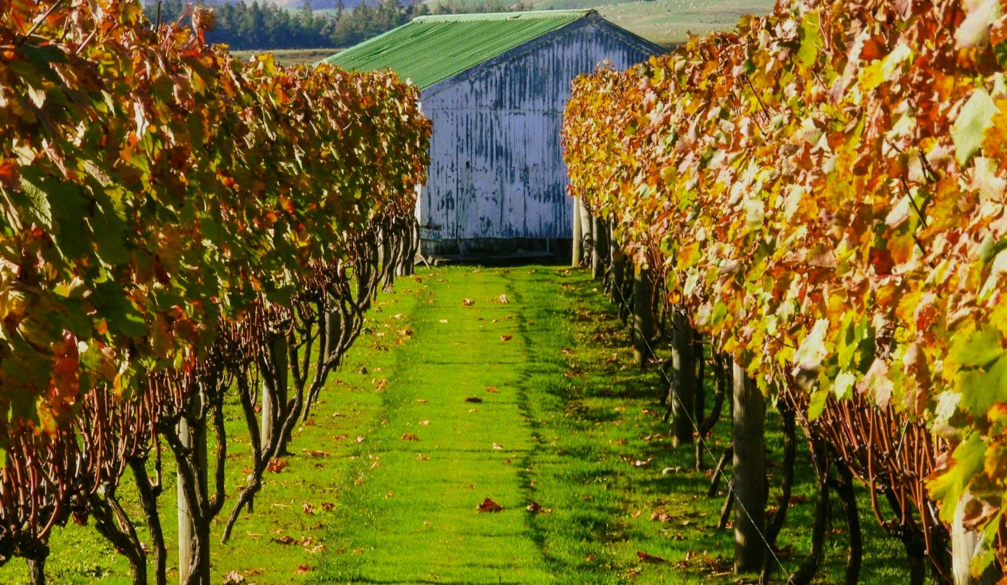 P1240531 2048x1536 12